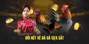 Sơ lược về Đá Gà Cựa Sắt tại F8BET