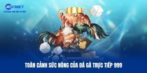 Khám phá vài nét về đá gà trực tiếp 999